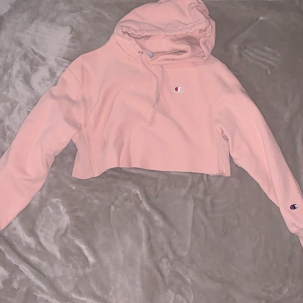 Champion cropped hoodie